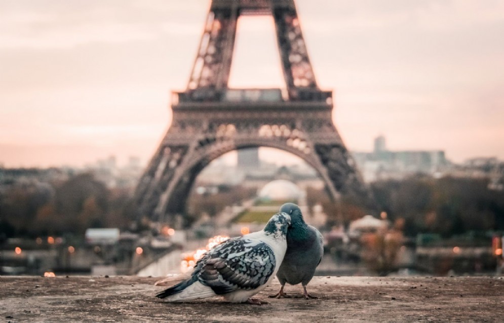 Parigi