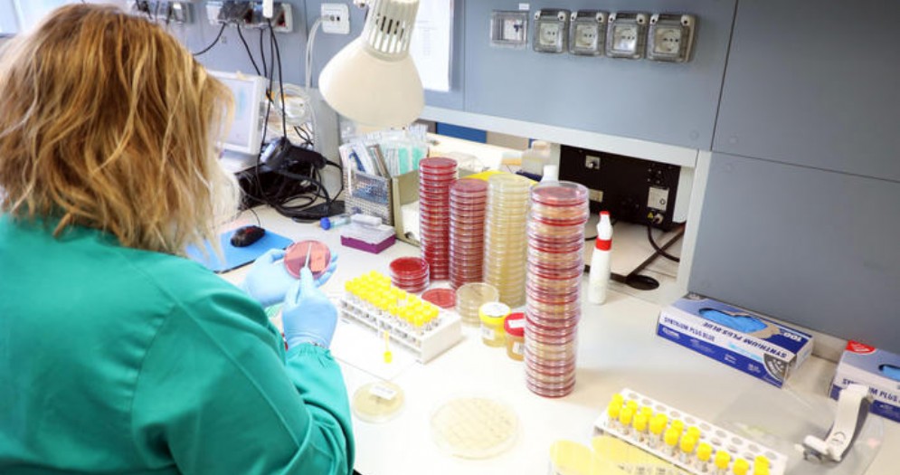 Coronavirus, «È una follia questa emergenza». Il duro dissenso del capo del laboratorio del Sacco