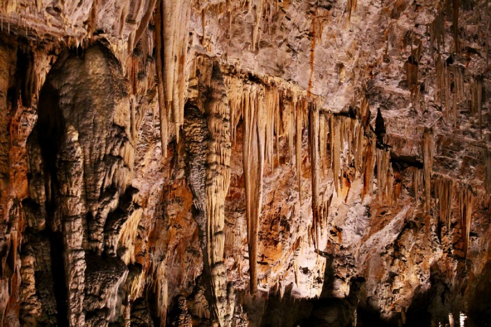 Grotta Gigante (Trieste)