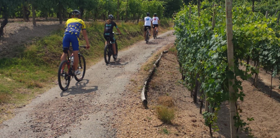 Escursionisti in bicicletta
