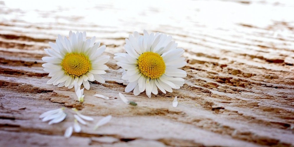 To love or not to love: le relazioni amorose ai tempi del Coronavirus