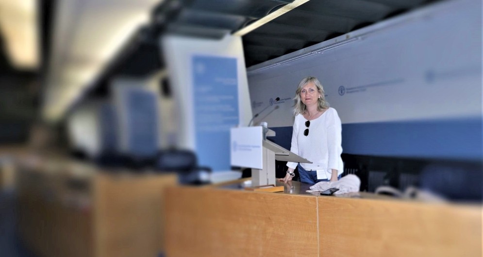Antonella Sciortino, Panasonic